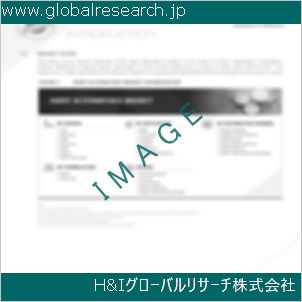 グローバルリサーチ調査資料のイメージ